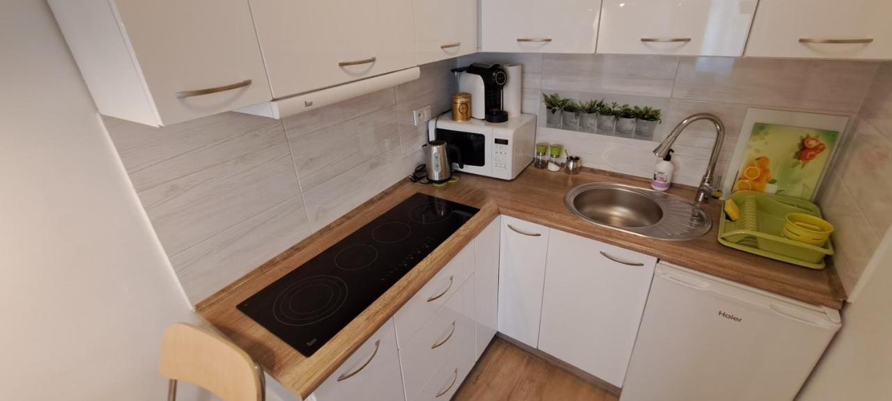Apartament Kopernika 47 Торунь Екстер'єр фото